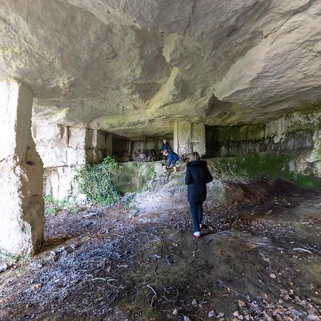 Logis De Bois Roche Βίλα Saint-Bonnet-sur-Gironde Εξωτερικό φωτογραφία