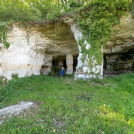 Logis De Bois Roche Βίλα Saint-Bonnet-sur-Gironde Εξωτερικό φωτογραφία
