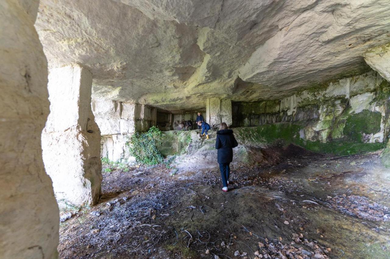 Logis De Bois Roche Βίλα Saint-Bonnet-sur-Gironde Εξωτερικό φωτογραφία