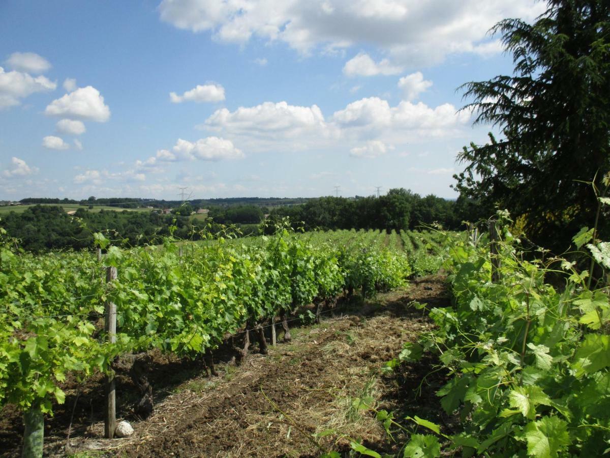 Logis De Bois Roche Βίλα Saint-Bonnet-sur-Gironde Εξωτερικό φωτογραφία