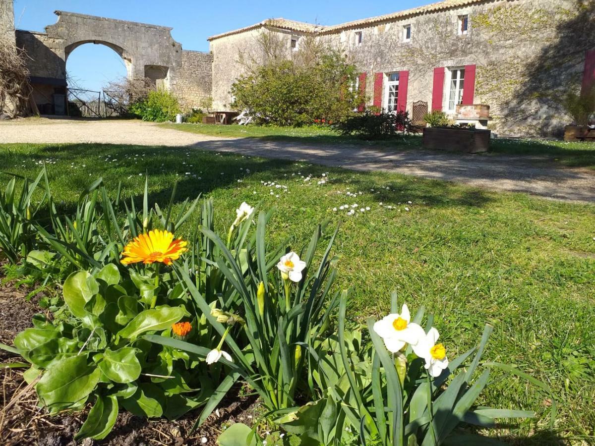 Logis De Bois Roche Βίλα Saint-Bonnet-sur-Gironde Εξωτερικό φωτογραφία