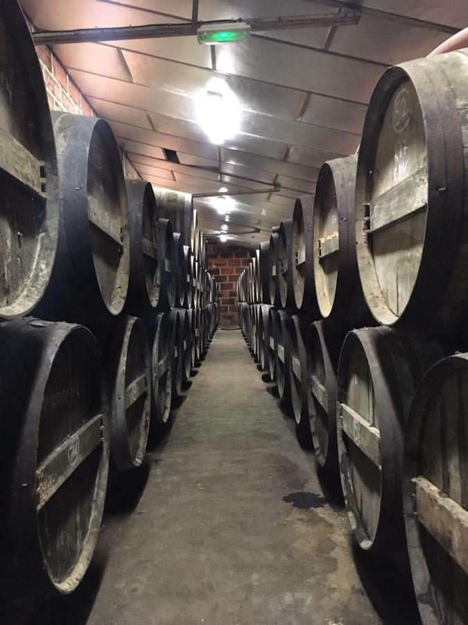 Logis De Bois Roche Βίλα Saint-Bonnet-sur-Gironde Εξωτερικό φωτογραφία
