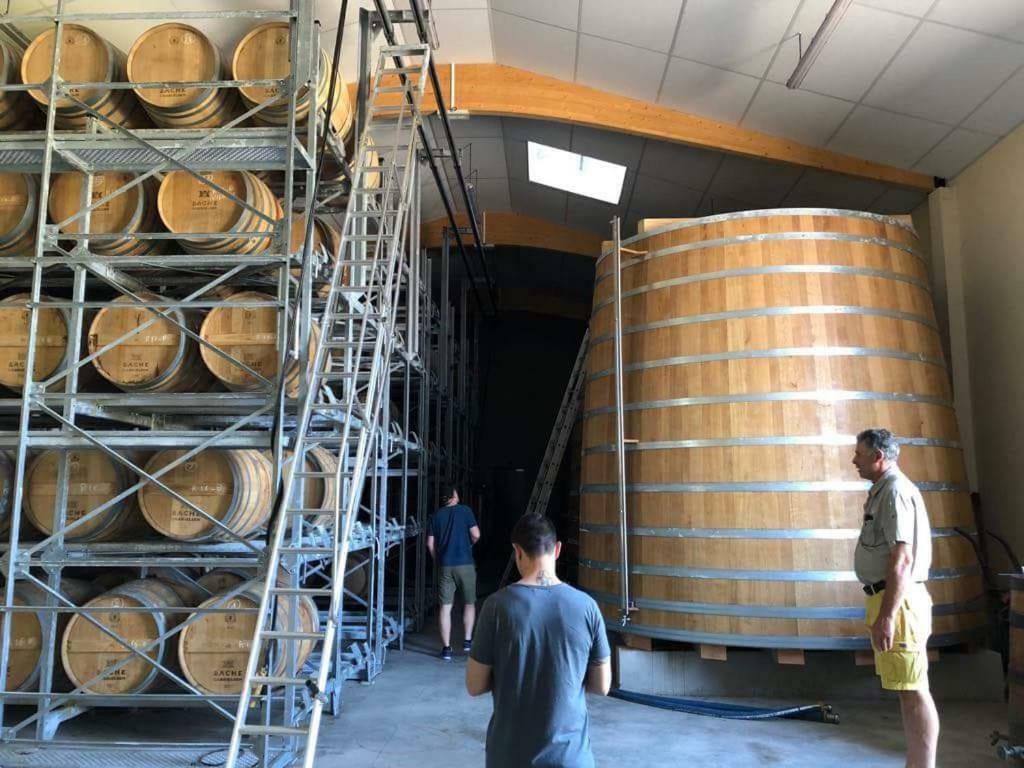 Logis De Bois Roche Βίλα Saint-Bonnet-sur-Gironde Εξωτερικό φωτογραφία