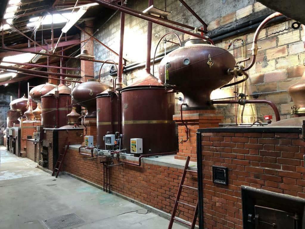 Logis De Bois Roche Βίλα Saint-Bonnet-sur-Gironde Εξωτερικό φωτογραφία