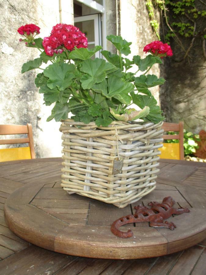Logis De Bois Roche Βίλα Saint-Bonnet-sur-Gironde Εξωτερικό φωτογραφία