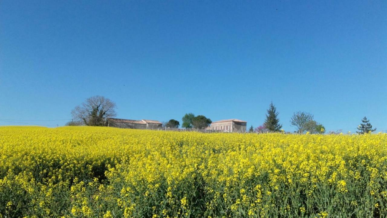 Logis De Bois Roche Βίλα Saint-Bonnet-sur-Gironde Εξωτερικό φωτογραφία