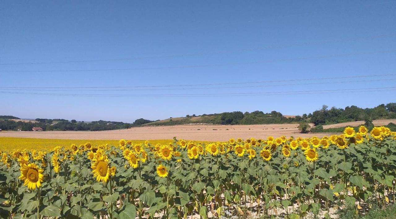 Logis De Bois Roche Βίλα Saint-Bonnet-sur-Gironde Εξωτερικό φωτογραφία