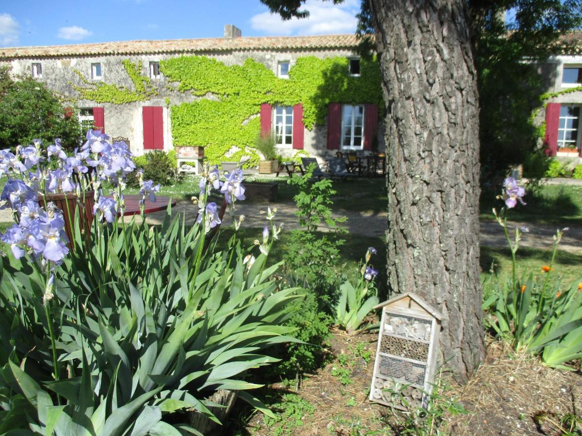 Logis De Bois Roche Βίλα Saint-Bonnet-sur-Gironde Εξωτερικό φωτογραφία